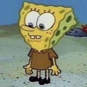 Meet your Posher, Isabella